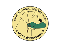 Golden Retriever Zucht / DRC BZG 8