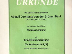 Bringleistungsprüfung am 28.09.2024