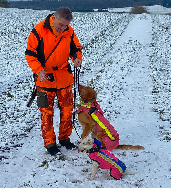 Neuigkeiten 2025 - Drückjagd der Saison 2024 / 2025, mit Timea und Tyra am 04.01.2025